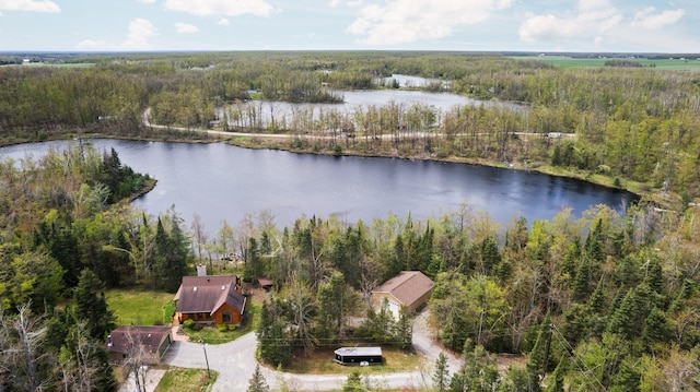 14250 Chippewa Trl, Johannesburg, MI 49751 - view from above of property featuring a heavily wooded area and a large body of water