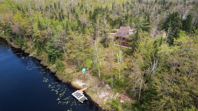 14250 Chippewa Trl, Johannesburg, MI 49751 - drone / aerial view of a large body of water