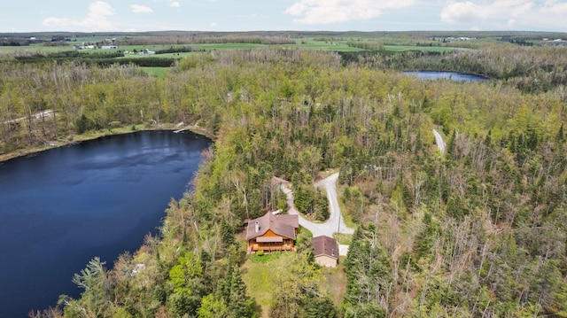 14250 Chippewa Trl, Johannesburg, MI 49751 - aerial overview of property's location featuring a large body of water and a heavily wooded area