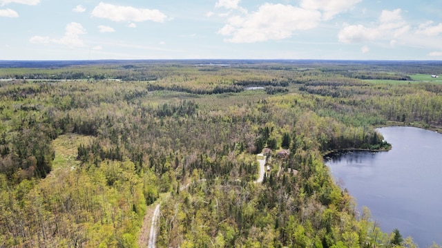 14250 Chippewa Trl, Johannesburg, MI 49751 - bird's eye view of a heavily wooded area and a large body of water
