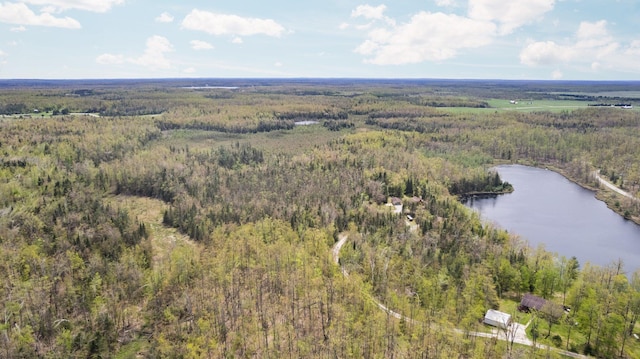 14250 Chippewa Trl, Johannesburg, MI 49751 - bird's eye view of a heavily wooded area and a nearby body of water