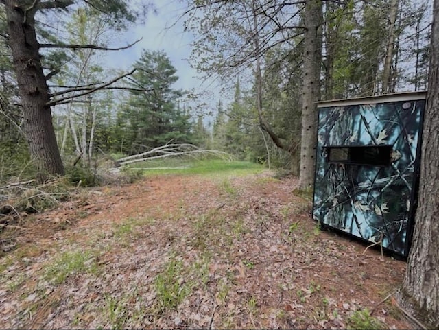 14250 Chippewa Trl, Johannesburg, MI 49751 - view of yard featuring a wooded view