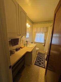 18598 Henry St, Melvindale, MI 48122 - full bathroom with toilet, vanity, and plenty of natural light