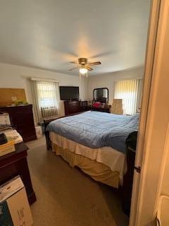 18598 Henry St, Melvindale, MI 48122 - bedroom featuring multiple windows and a ceiling fan