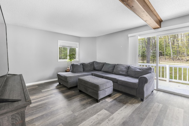 120 Seminole Trl, Roscommon, MI 48653 - living room featuring beamed ceiling, wood finished floors, a textured ceiling, and baseboards