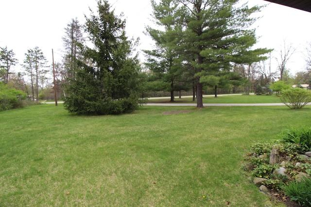 5432 E Michigan Hwy, Roscommon, MI 48653 - view of green lawn