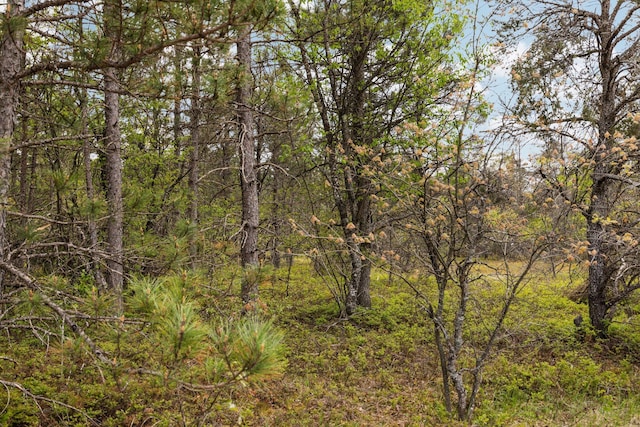 110ACRES Winding Rd, Lewiston, MI 49756