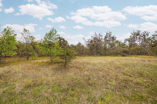 110ACRES Winding Rd, Lewiston, MI 49756