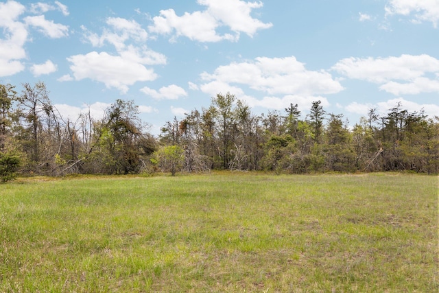 110ACRES Winding Rd, Lewiston, MI 49756