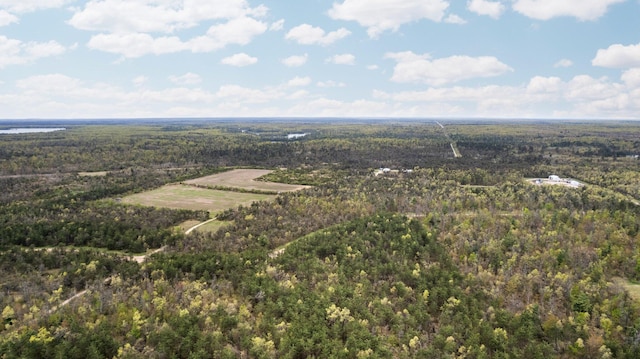 110ACRES Winding Rd, Lewiston, MI 49756