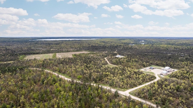 110ACRES Winding Rd, Lewiston, MI 49756