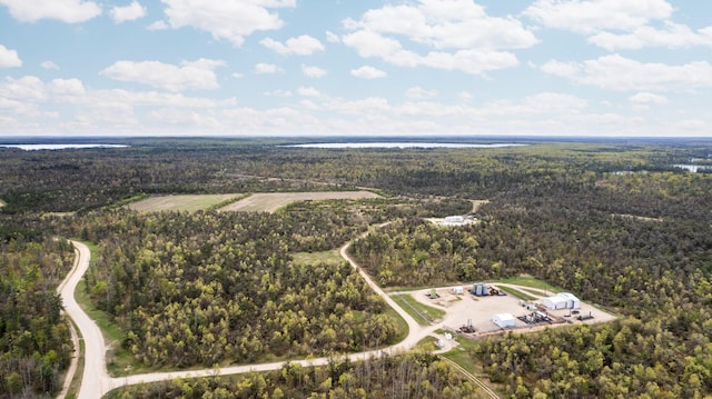 110ACRES Winding Rd, Lewiston, MI 49756