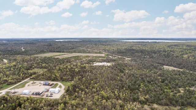 110ACRES Winding Rd, Lewiston, MI 49756