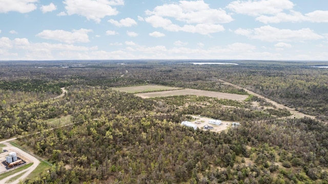 110ACRES Winding Rd, Lewiston, MI 49756