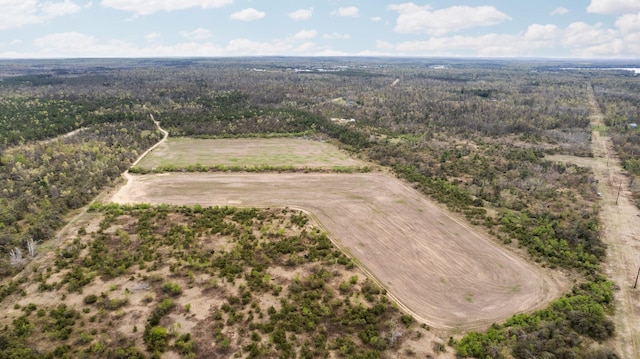 110ACRES Winding Rd, Lewiston, MI 49756