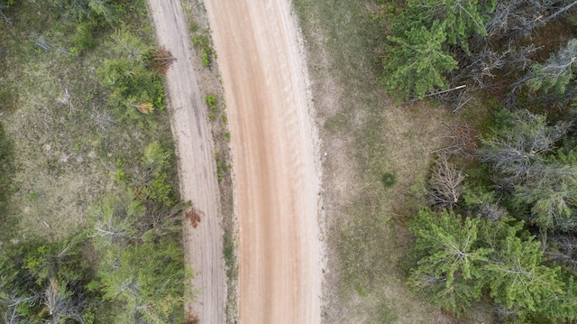 110ACRES Winding Rd, Lewiston, MI 49756