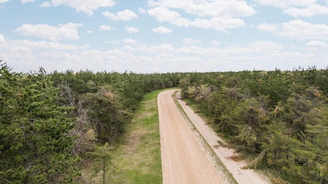 110ACRES Winding Rd, Lewiston, MI 49756