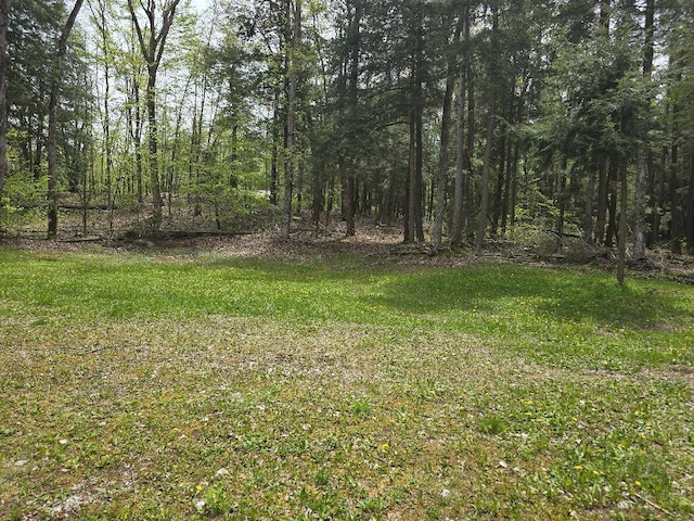 6732 Kelley Dr, Millersburg, MI 49759 - photo 6