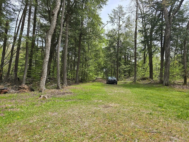 6732 Kelley Dr, Millersburg, MI 49759 - photo 7