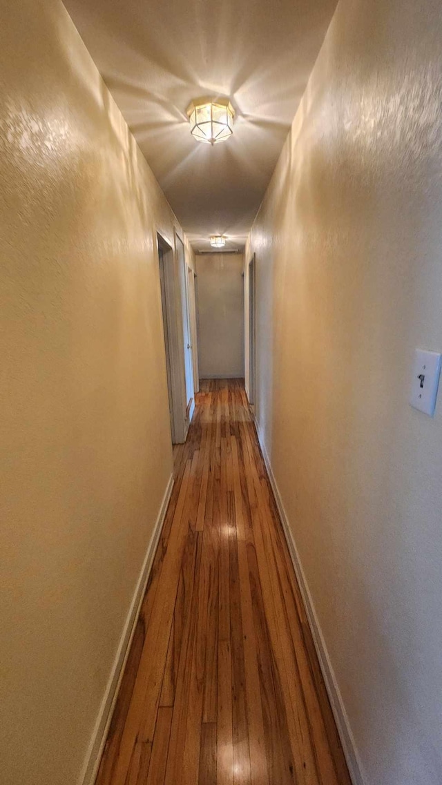 8619A Iowa St, Oscoda, MI 48750 - hall featuring baseboards and hardwood / wood-style flooring