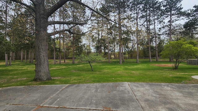 8619A Iowa St, Oscoda, MI 48750 - view of yard