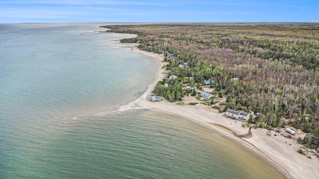 18519 Shosone Ln, Ocqueoc, MI 49759 - photo 29