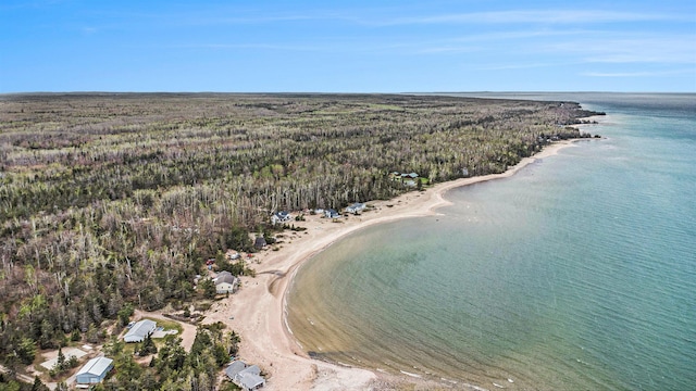 18519 Shosone Ln, Ocqueoc, MI 49759 - photo 30