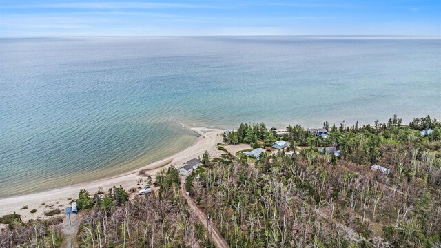 18519 Shosone Ln, Ocqueoc, MI 49759 - photo 31