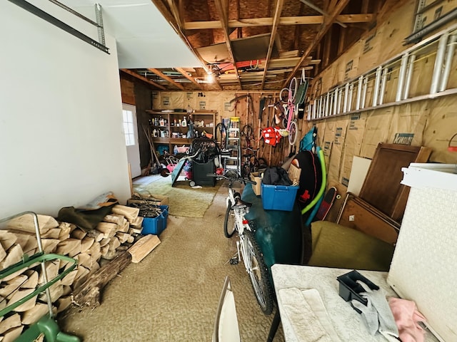 205 Beechwood Ave, Houghton Lake, MI 48629 - view of garage