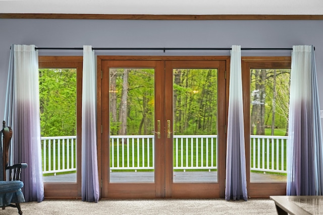 4285 Tower Hill Rd, Houghton Lake, MI 48629 - doorway to outside with carpet flooring