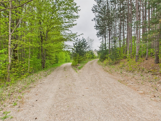 730 SE Cool Rd, Kalkaska, MI 49646 - view of road with a wooded view