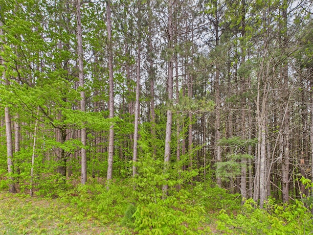 730 SE Cool Rd, Kalkaska, MI 49646 - view of wooded area