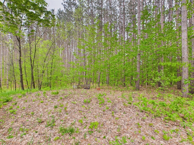 730 SE Cool Rd, Kalkaska, MI 49646 - view of woods