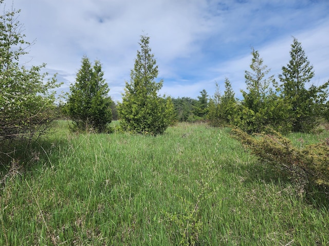 9840 N Straits Hwy, Cheboygan, MI 49721 - photo 1