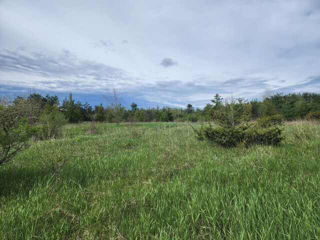 9840 N Straits Hwy, Cheboygan, MI 49721 - photo 4
