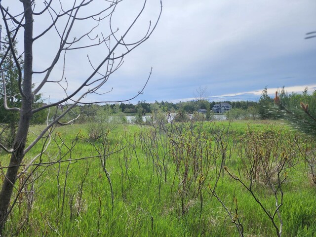 9840 N Straits Hwy, Cheboygan, MI 49721 - photo 6