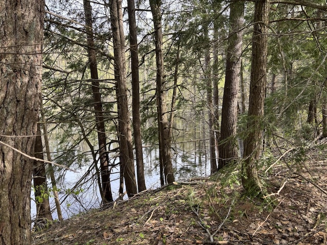 000 Cree Trl, Gaylord, MI 49735
