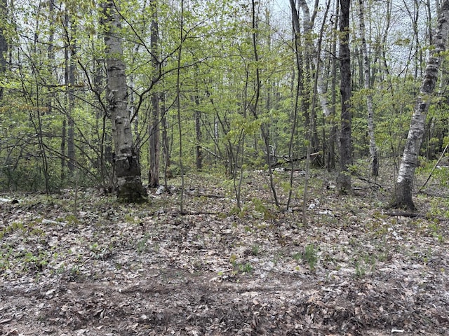 000 Cree Trl, Gaylord, MI 49735