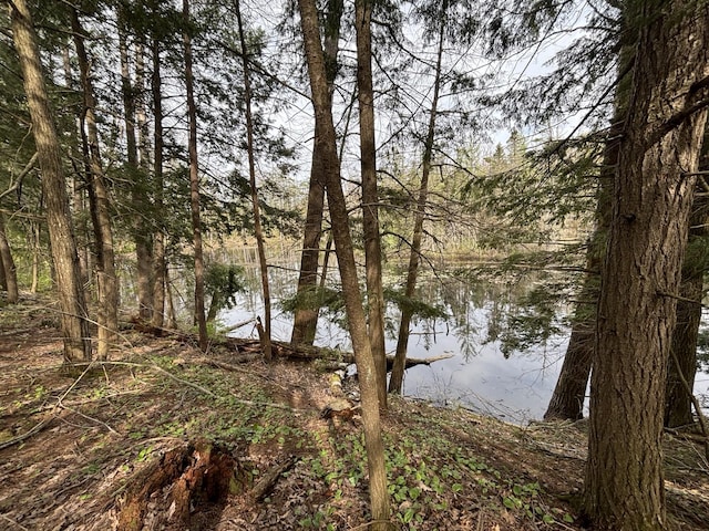 000 Cree Trl, Gaylord, MI 49735