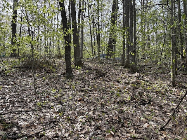 000 Cree Trl, Gaylord, MI 49735