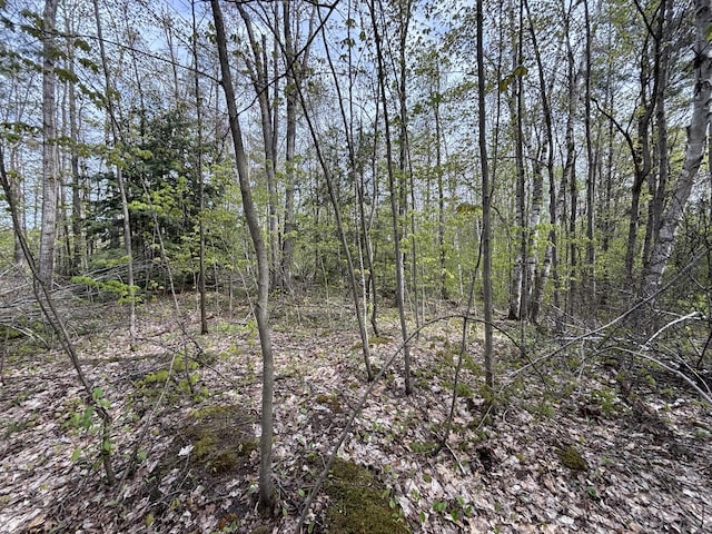 000 Cree Trl, Gaylord, MI 49735