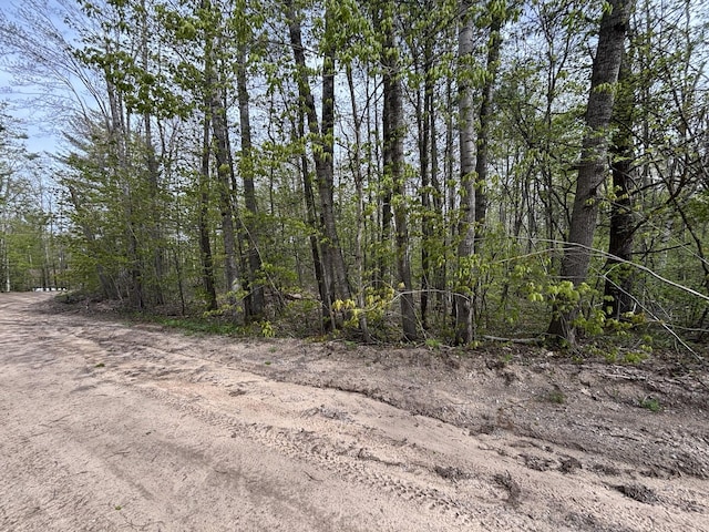 000 Cree Trl, Gaylord, MI 49735