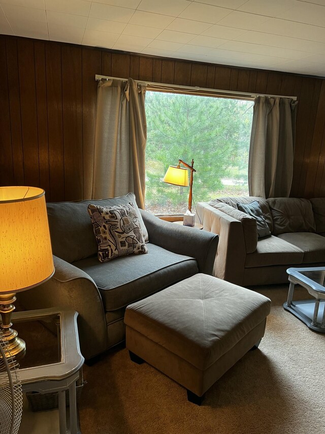 10181 E Carter Lake Rd, Saint Helen, MI 48656 - living area featuring carpet flooring, wood walls, and healthy amount of natural light