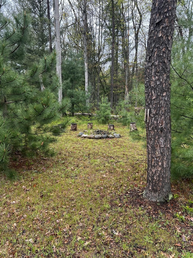 10181 E Carter Lake Rd, Saint Helen, MI 48656 - view of yard