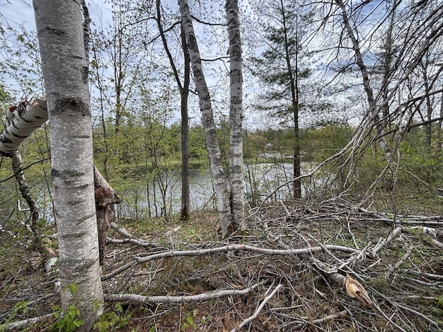 LOT253 Iroquois Trl, Gaylord, MI 49735