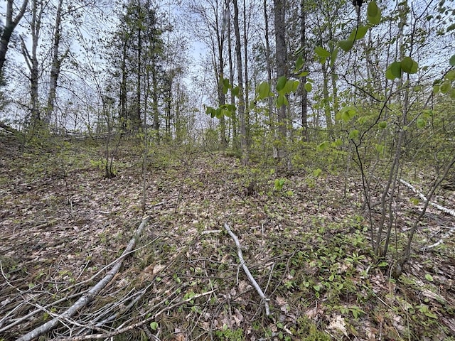 LOT253 Iroquois Trl, Gaylord, MI 49735