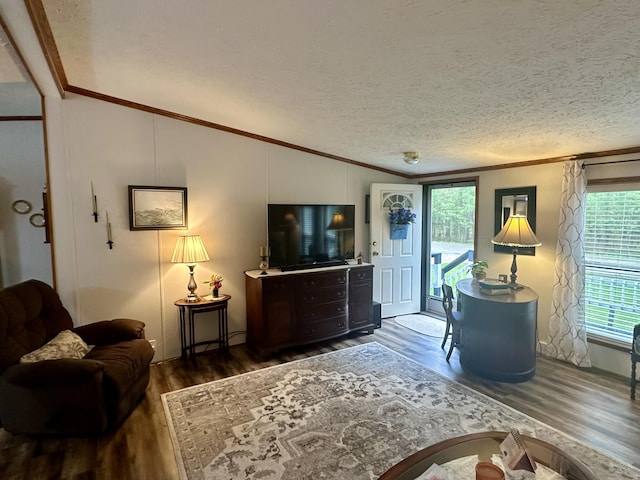 10162 Regimental Way, Grayling, MI 49738 - living room featuring wood finished floors, lofted ceiling, crown molding, and a textured ceiling