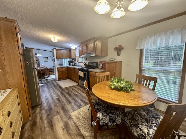 10162 Regimental Way, Grayling, MI 49738 - dining room featuring dark wood-style flooring, a chandelier, a textured ceiling, and crown molding