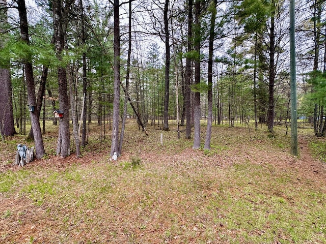 10162 Regimental Way, Grayling, MI 49738 - view of yard featuring a forest view