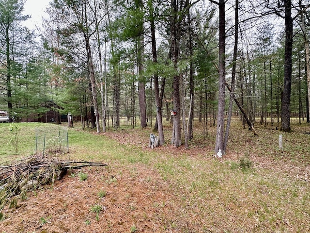 10162 Regimental Way, Grayling, MI 49738 - view of yard with a forest view